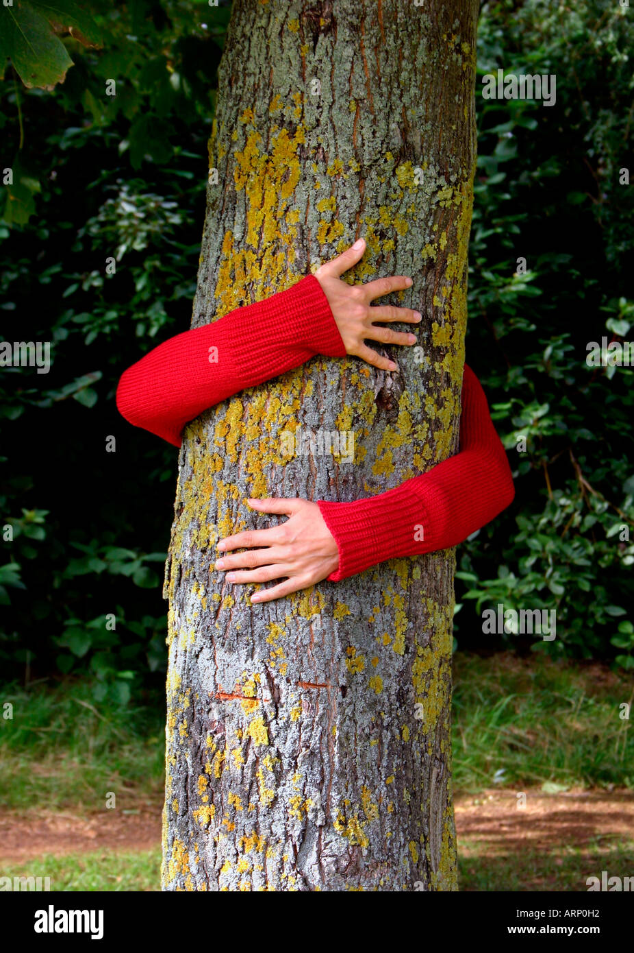 Tree hug hi-res stock photography and images - Alamy