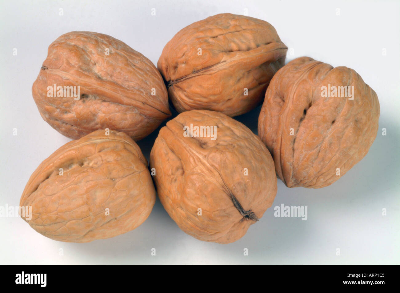 Whole Walnut walnuts in shell shells Stock Photo Alamy