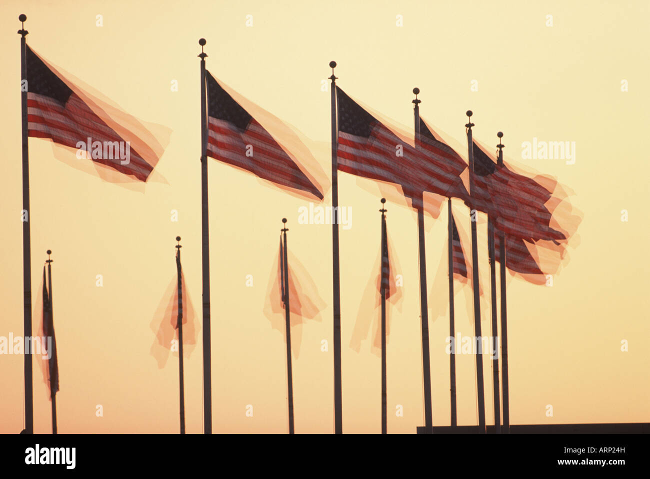 USA flags at sunset in motion Stock Photo