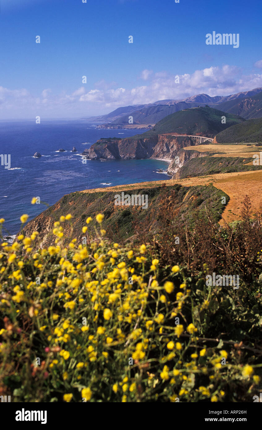 USA, California, coastline near Big Sur Stock Photo - Alamy