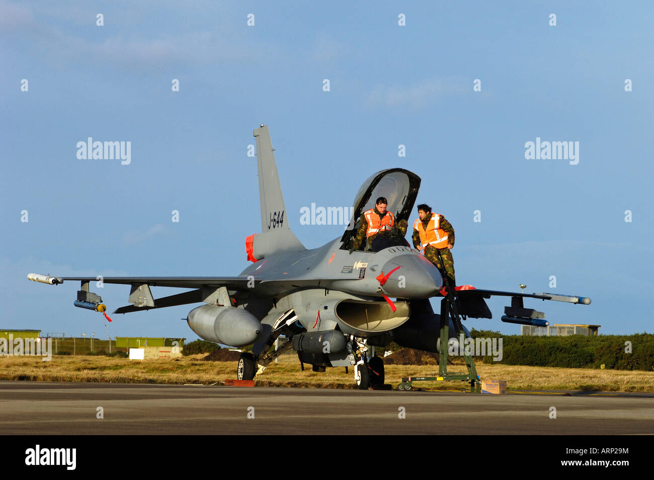 General Dynamics F-16AM 313 Squadron Fighting Falcon Stock Photo