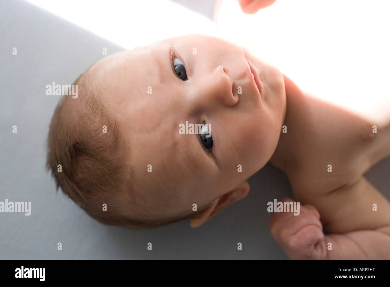 six week old newborn baby face serious stare alert eye ready for the world Stock Photo