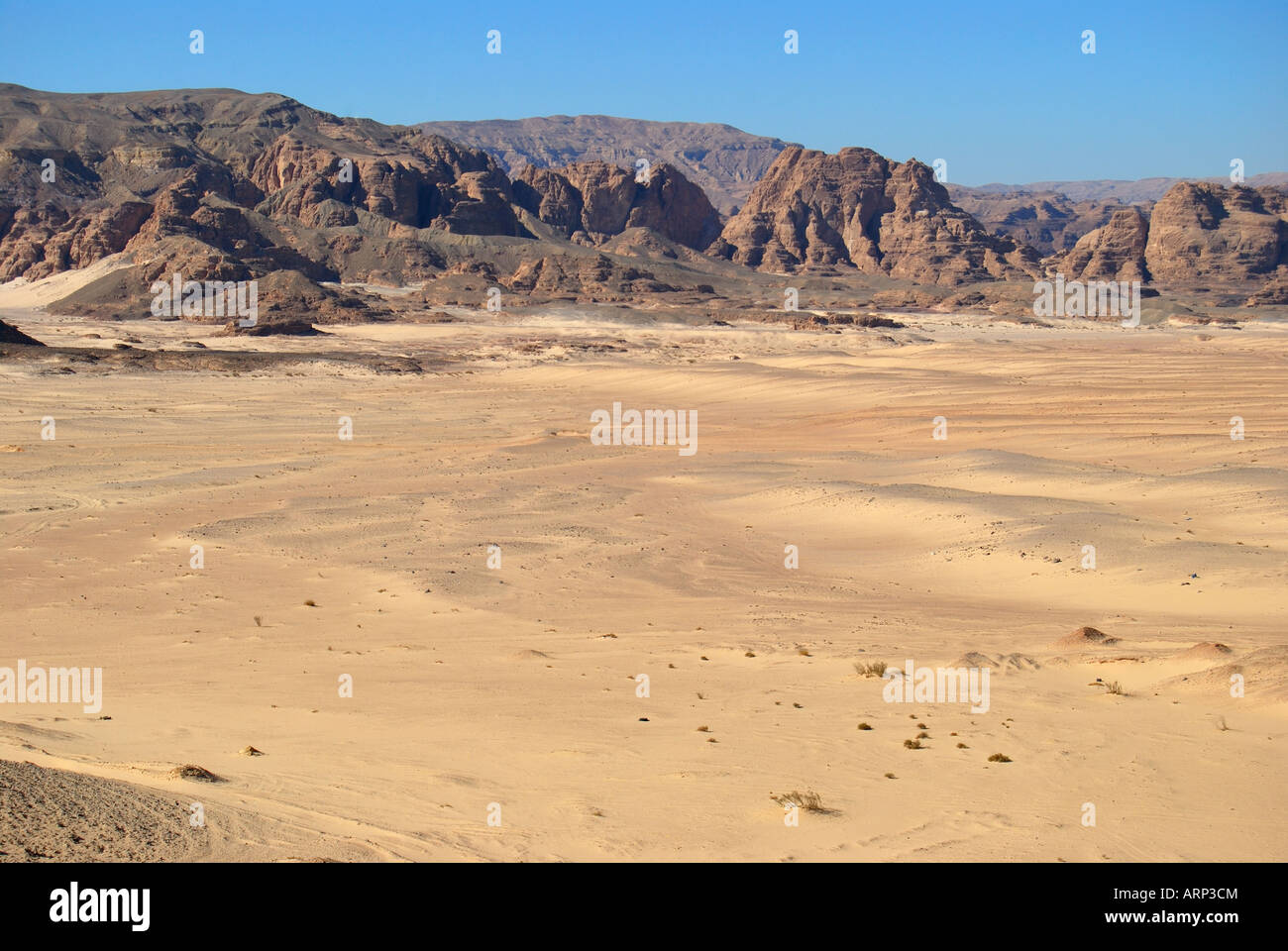 Desert landscape, Sinai Peninsula, Egypt Stock Photo