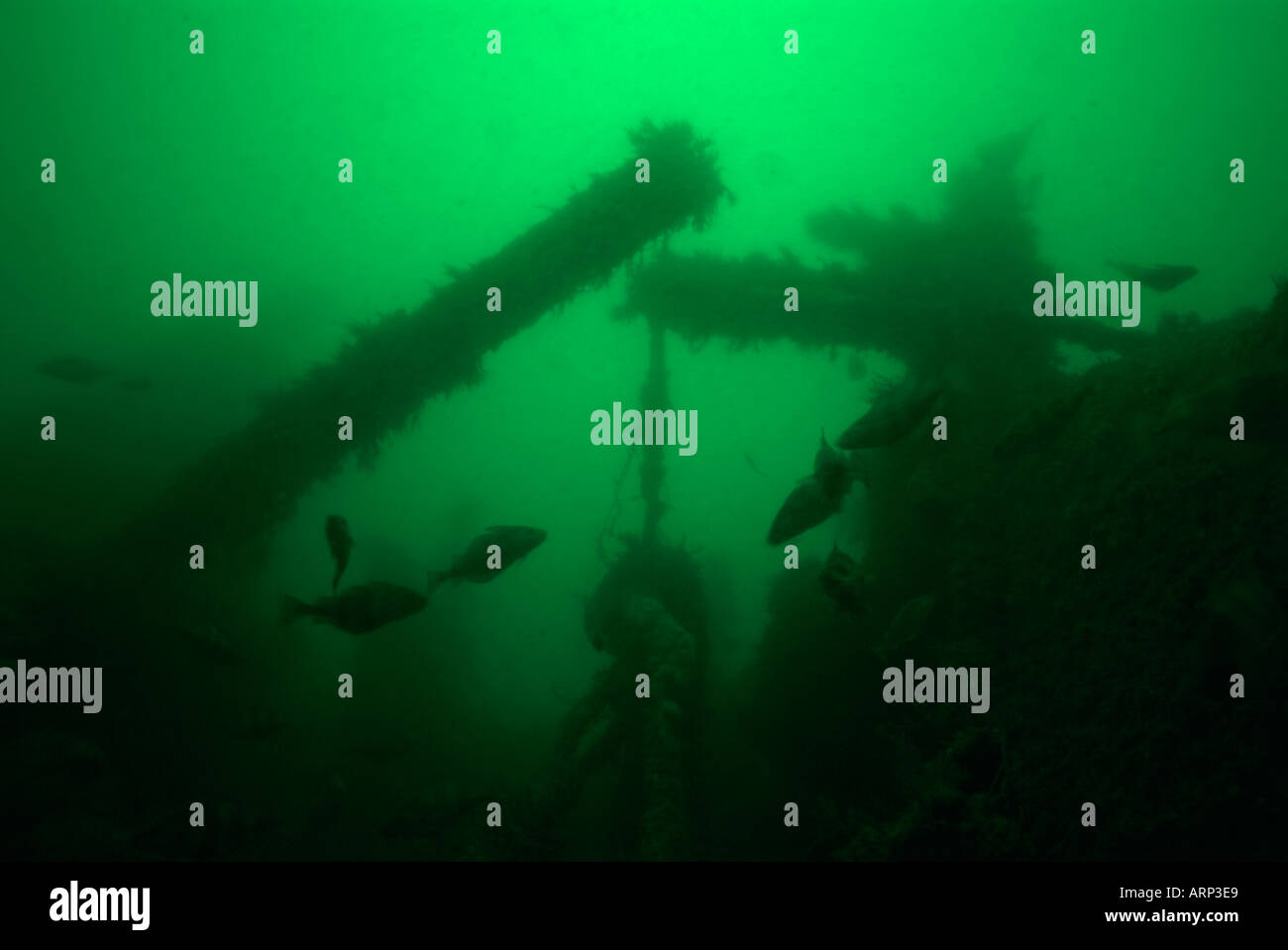 Underwater ship wreck north sea hires stock photography and images Alamy