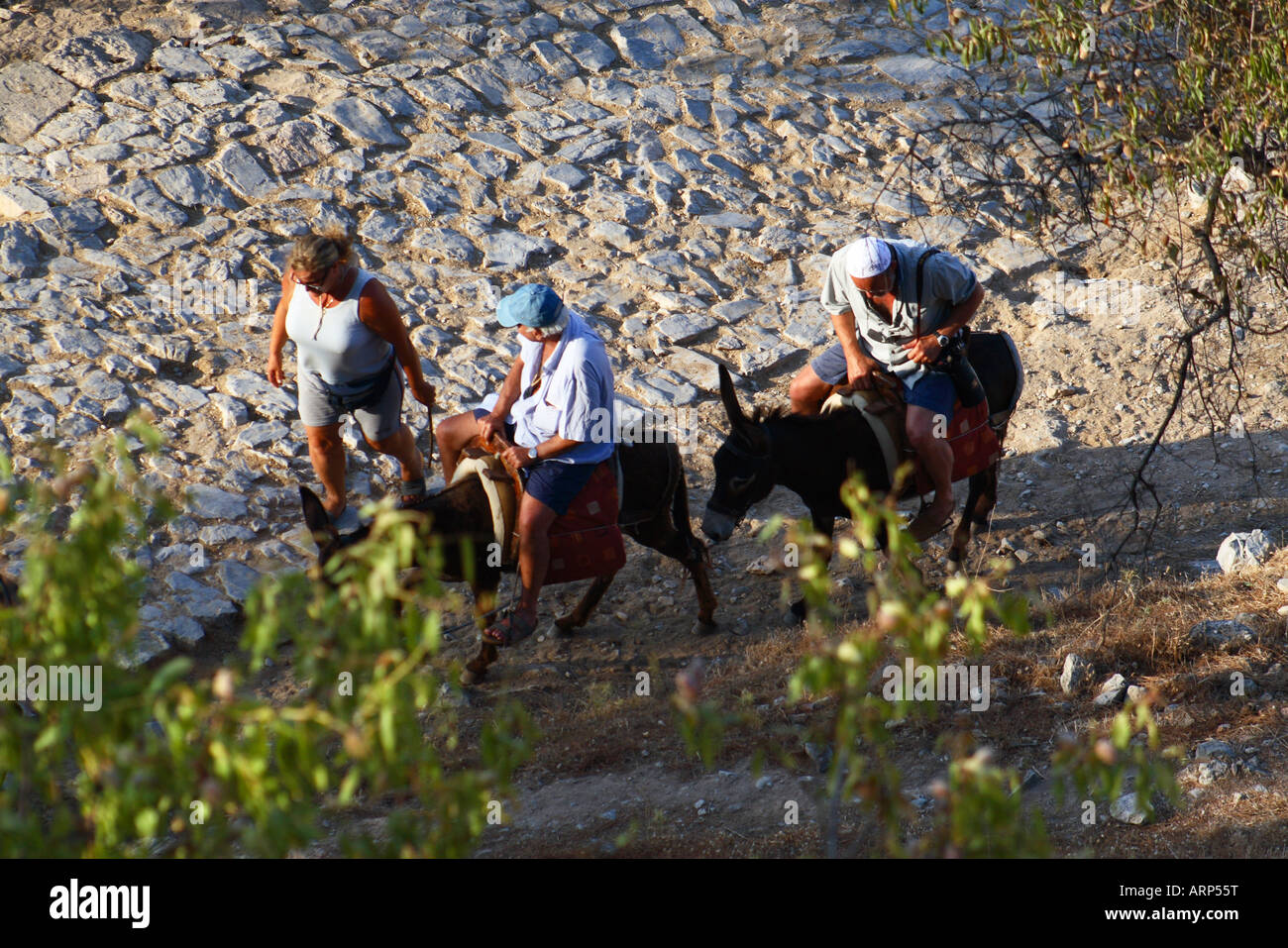 Tourists take the Donkey Ride up the The Acropolis Lindos Rhodes Greece Stock Photo