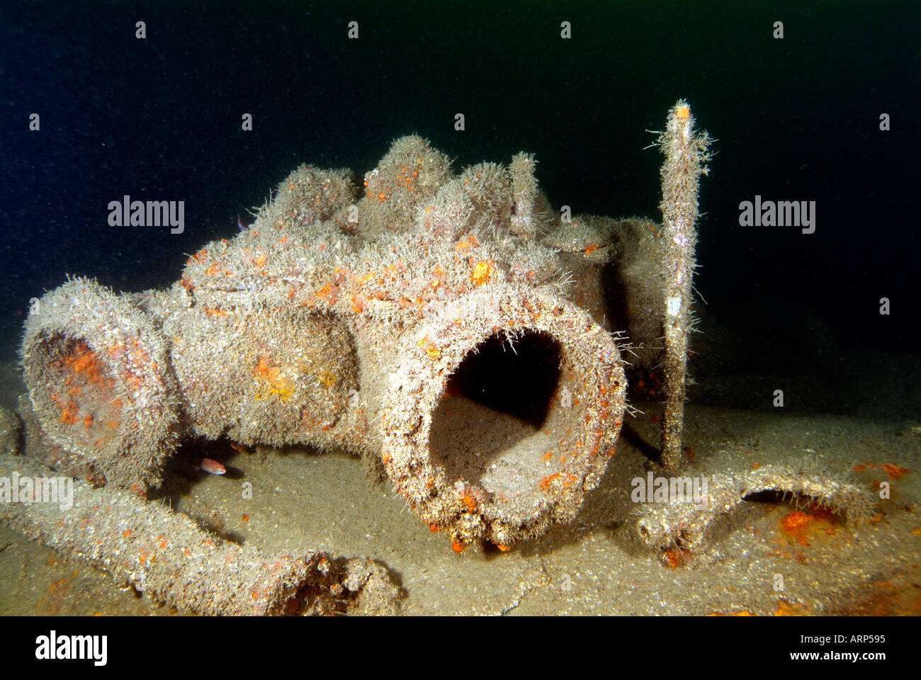 U171 The U171 submarine wreck in Brittany Stock Photo - Alamy