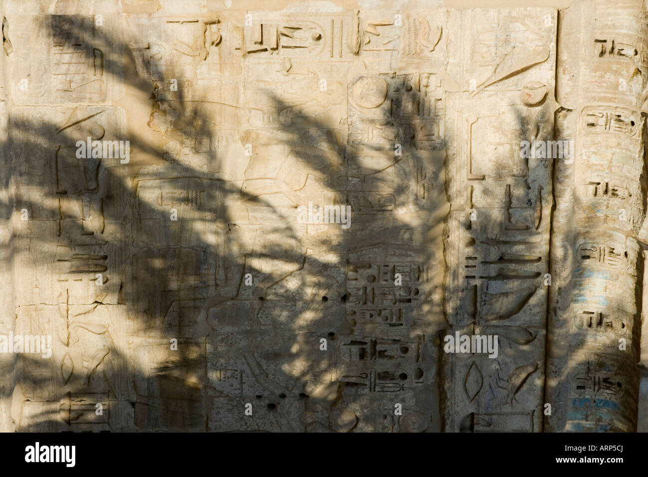 Various hieroglyphs at temple of Medinat Habu by Luxor West Bank Nile Valley Egypt Stock Photo