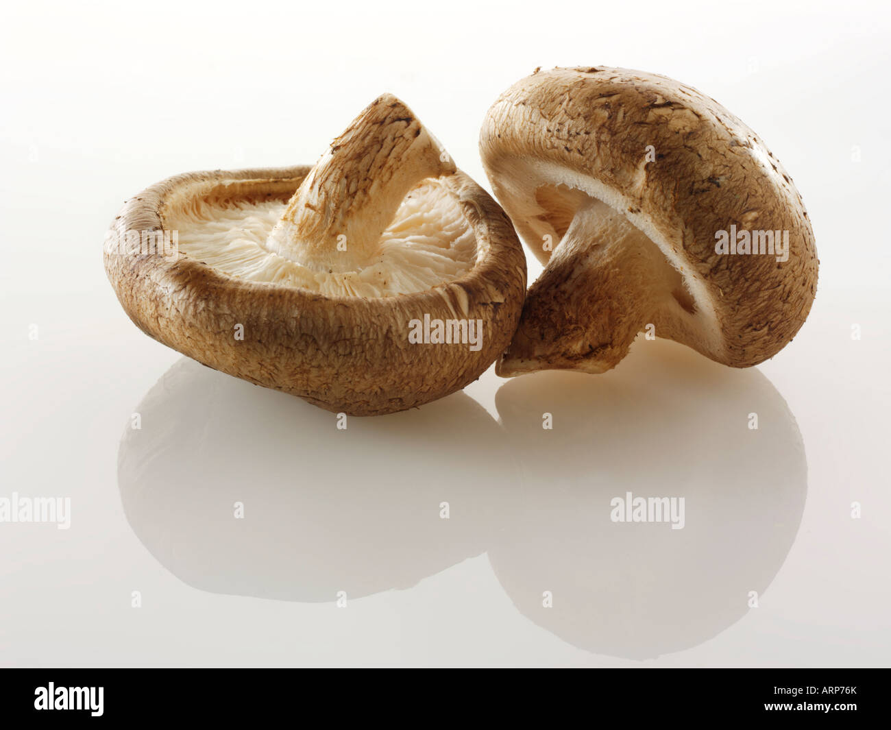 Fresh Shiitake mushrooms Stock Photo