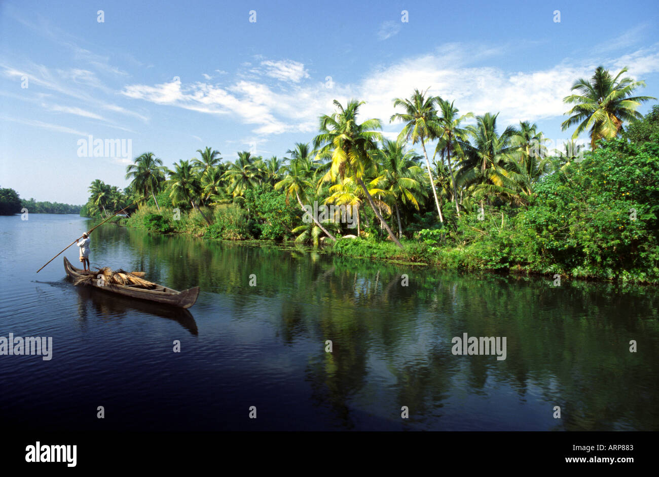 man-poling-traditional-boat-kerala-backwaters-india-south-asia-stock