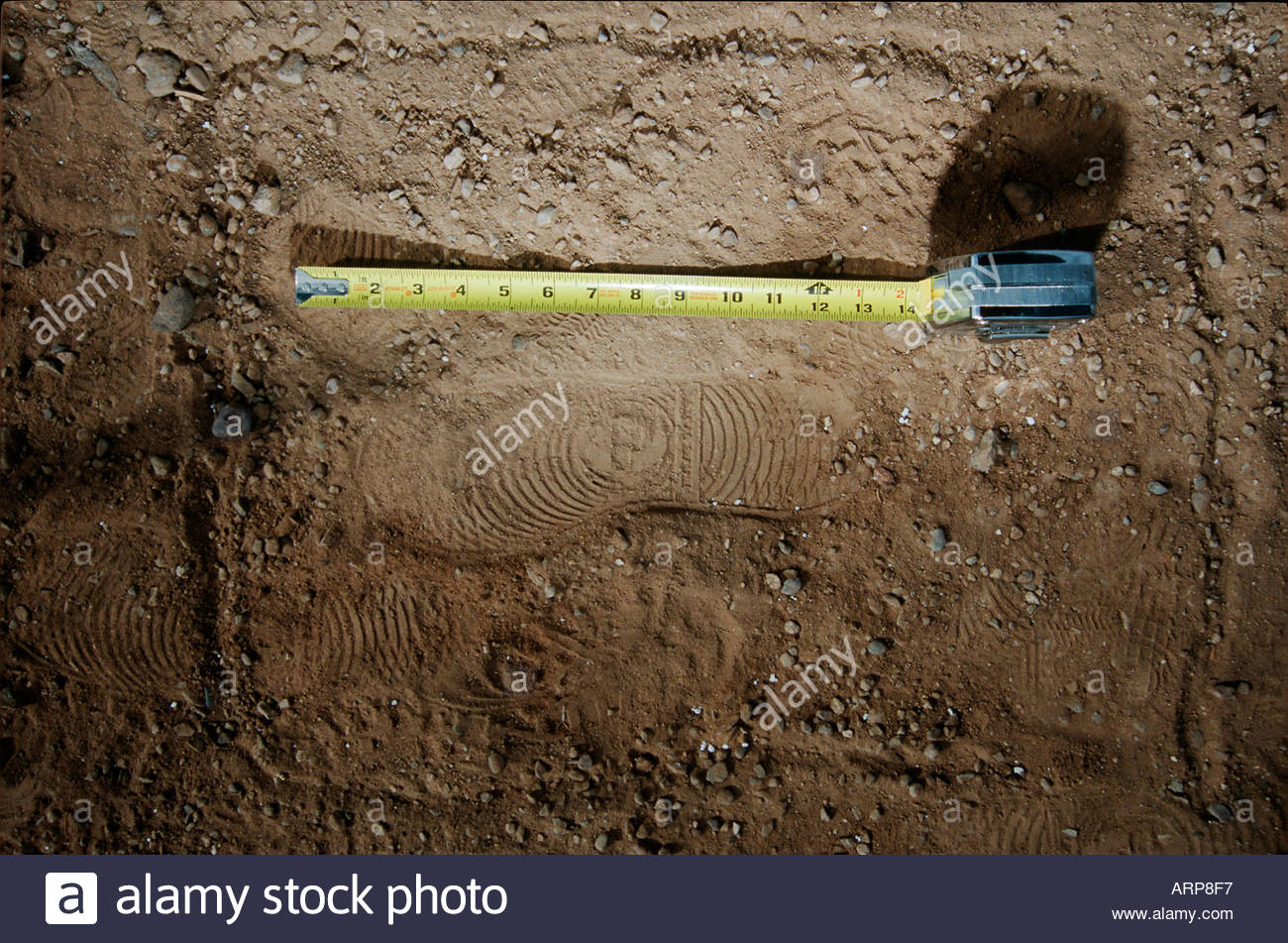 Shoe Print Evidence Stock Photos & Shoe Print Evidence Stock Images Alamy