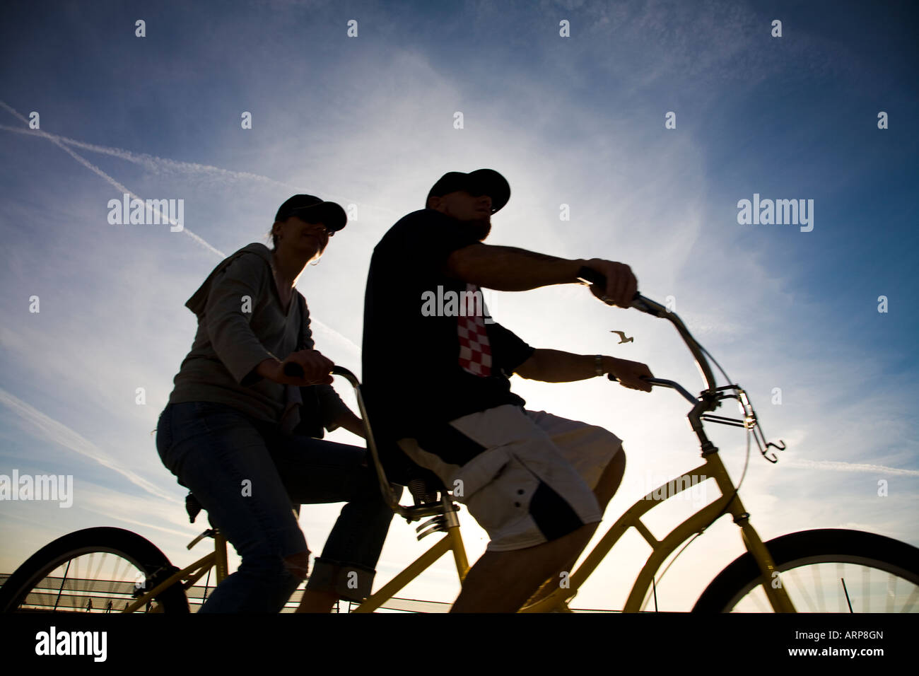 Tandem Bicycle riding Venice Beach California United States of America