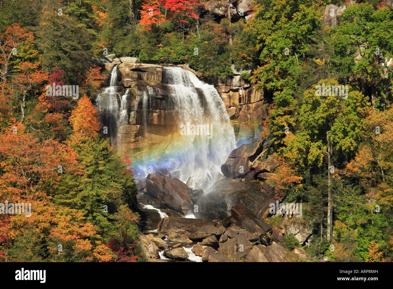 Whitewater Falls, Sapphire, North Carolina, USA Stock Photo - Alamy