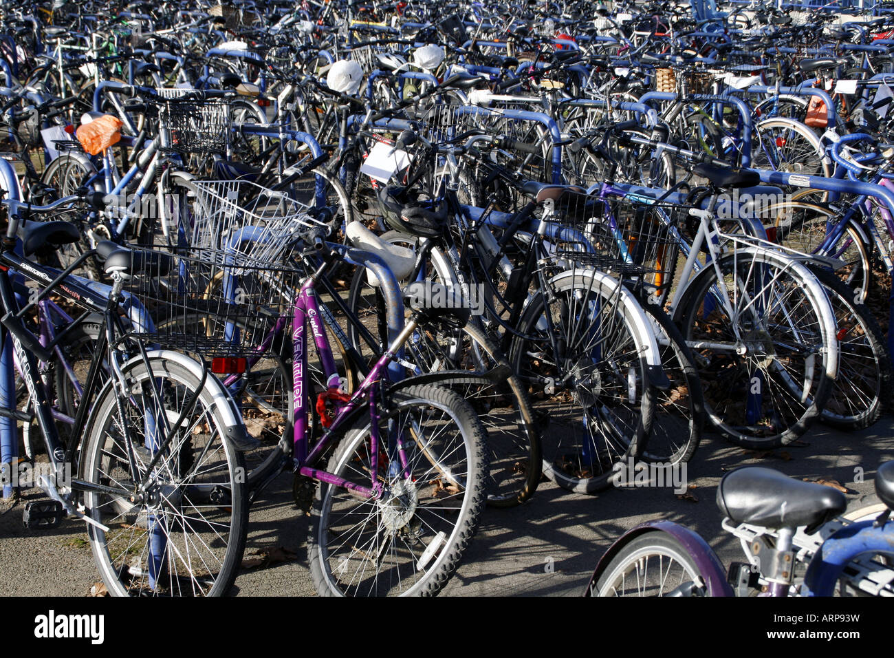 Oxford bicycles Stock Photo