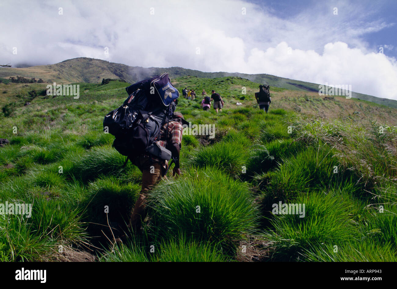 Porters climbing Mount Cameroon West Africa Stock Photo