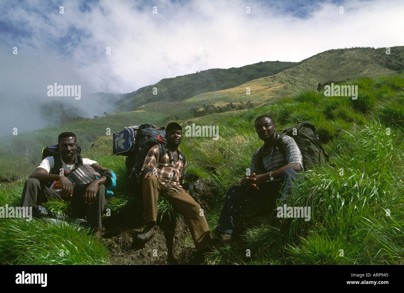 Porters climbing Mount Cameroon West Africa Stock Photo
