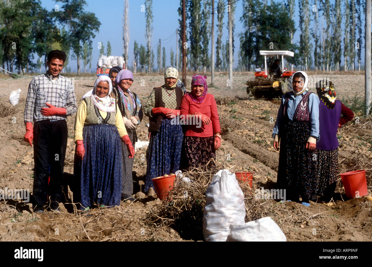 Potato pickers in a field in Turkey Stock Photo