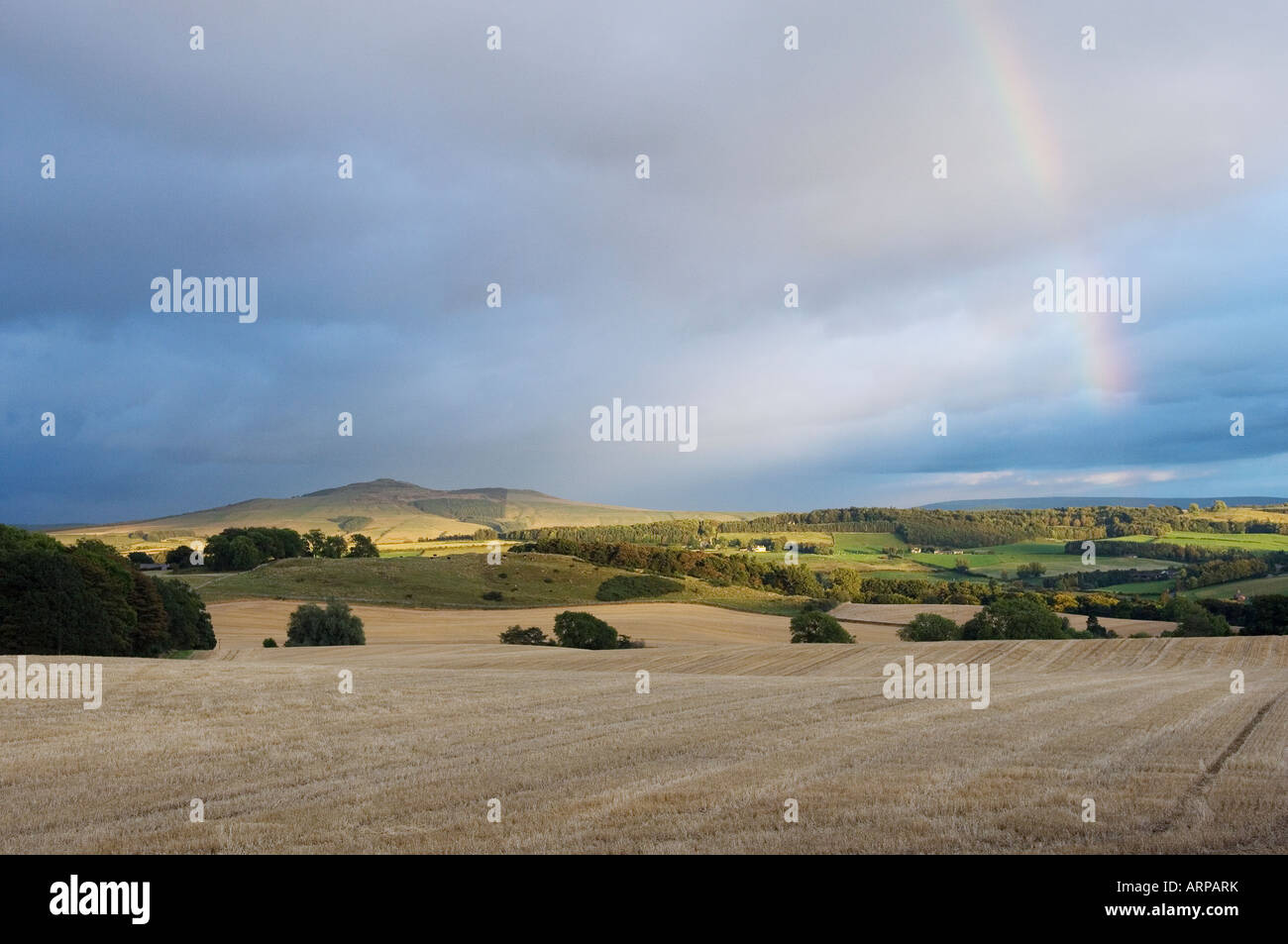 Looking east over arable farmland harvested cornfield countryside one mile north of Hawick in the Borders Region of Scotland Stock Photo