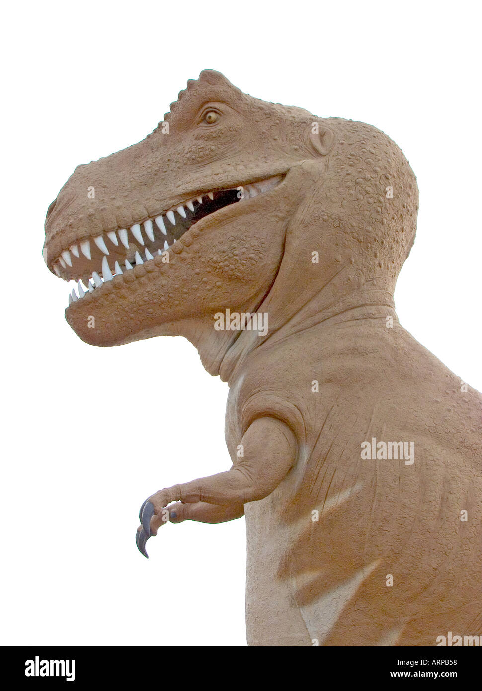 Premium Photo  A tyrannosaurus rex is running in front of a white  background.