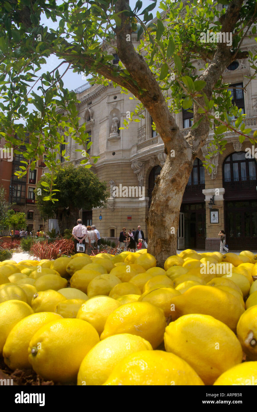 lemon tree in the square of the theater arriaga Stock Photo
