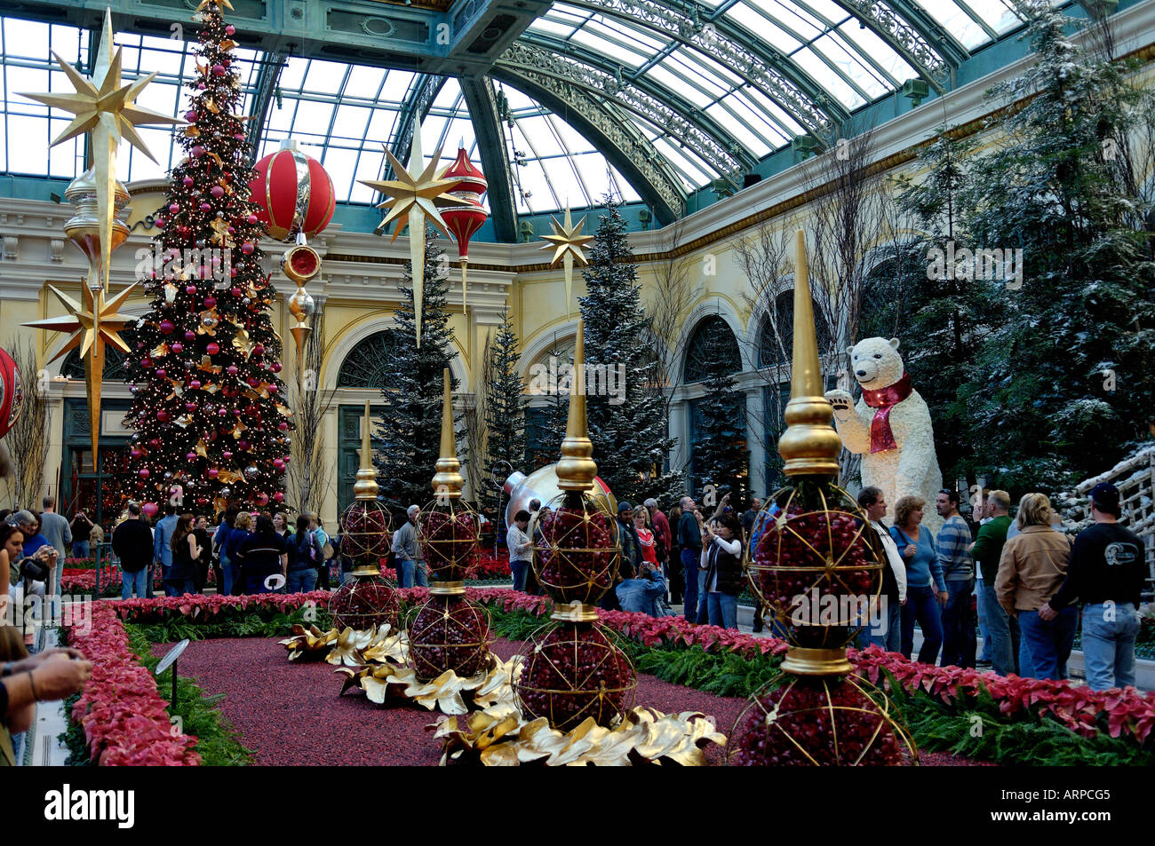 A Long Shot of the Magnificent Christmas Display at the Bellagio Hotel