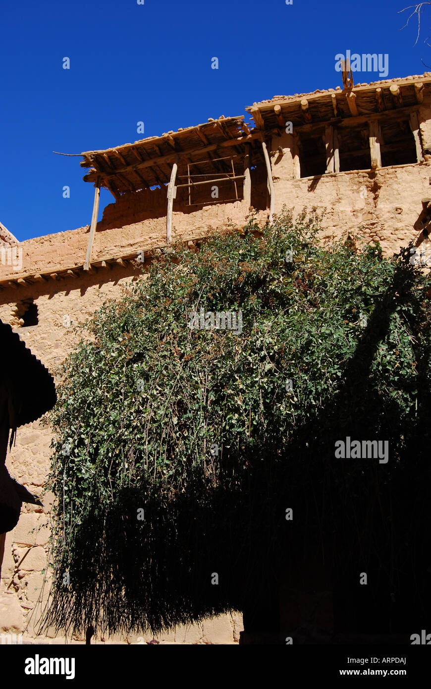 Burning bush sinai hires stock photography and images Alamy