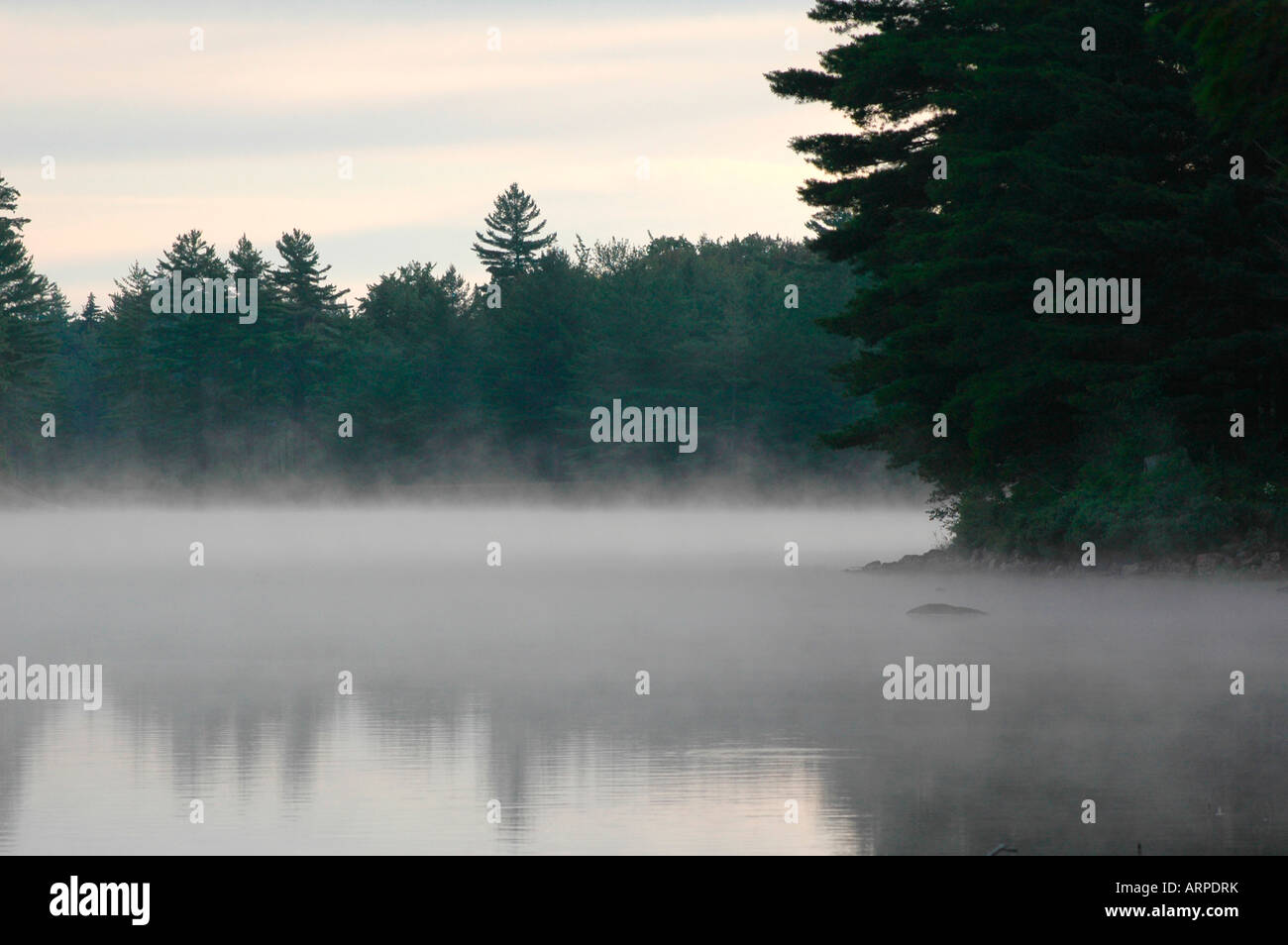 Morning Rising Mist Mist rising from pond hi-res stock photography and images - Alamy