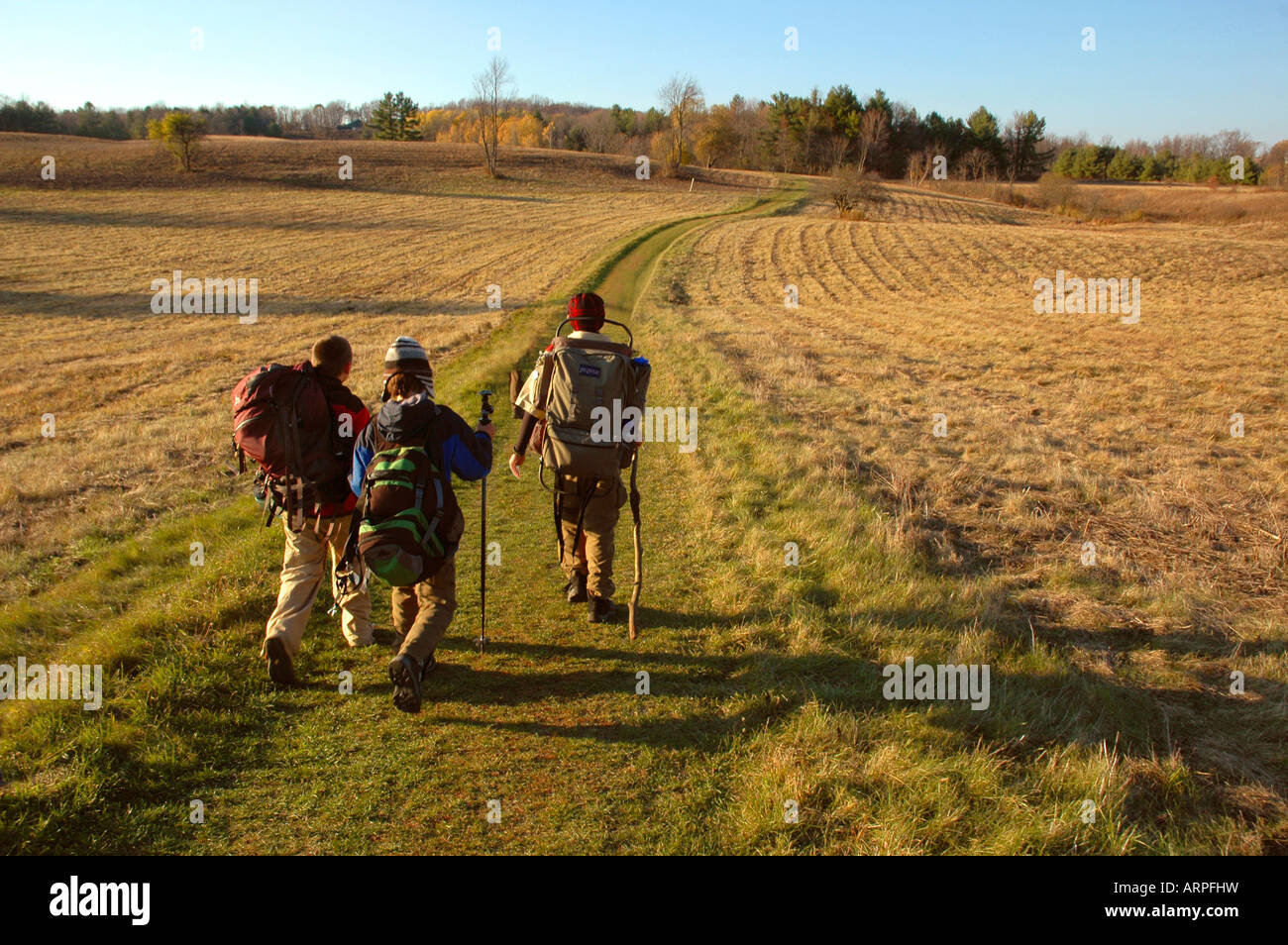 Boy scouts hiking on a trail though the golden field of the Saratoga ...