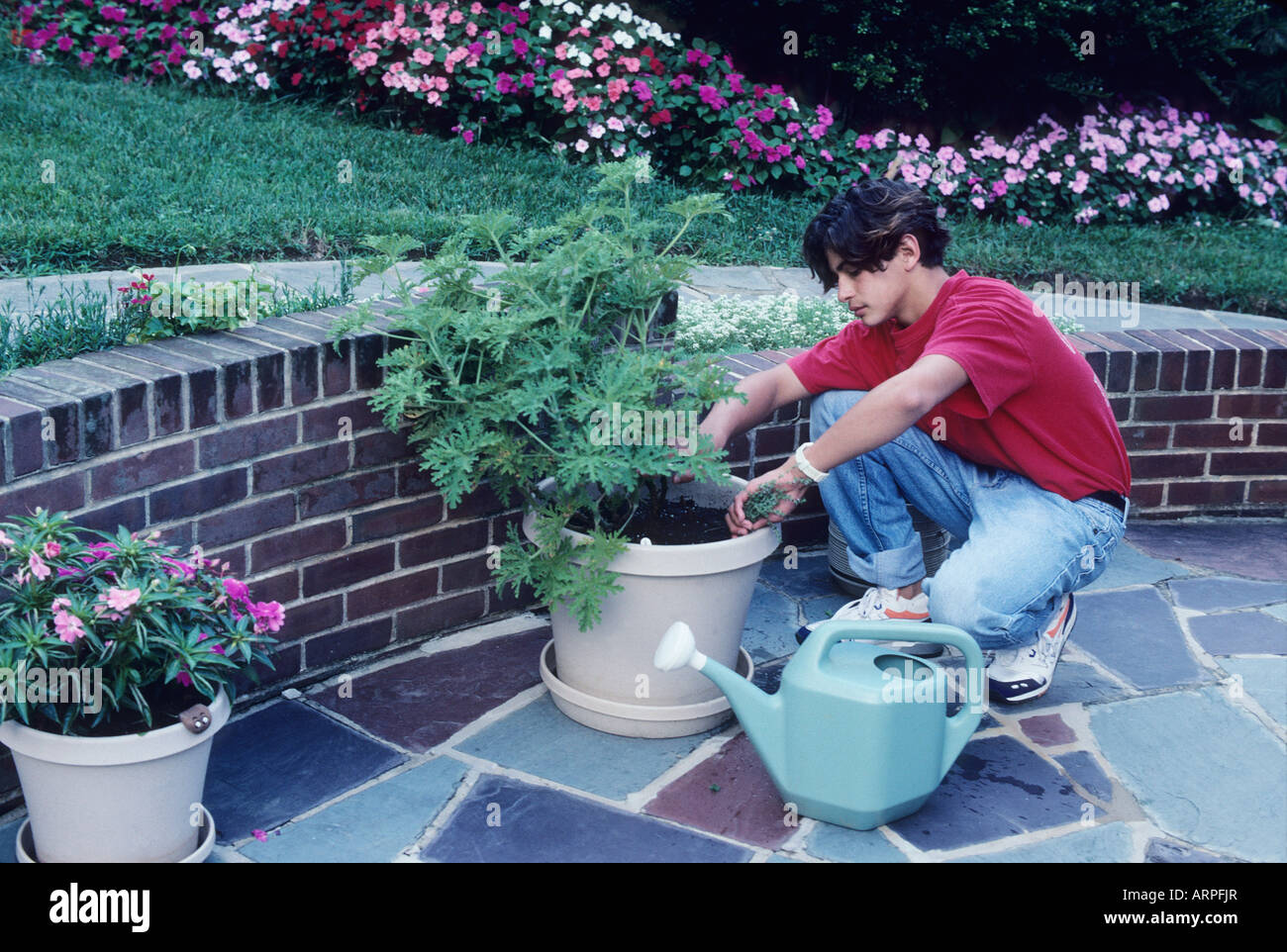 Native American teen watering plants, helpful teen, home life, family, flowers gardening Baltimore, MD Stock Photo