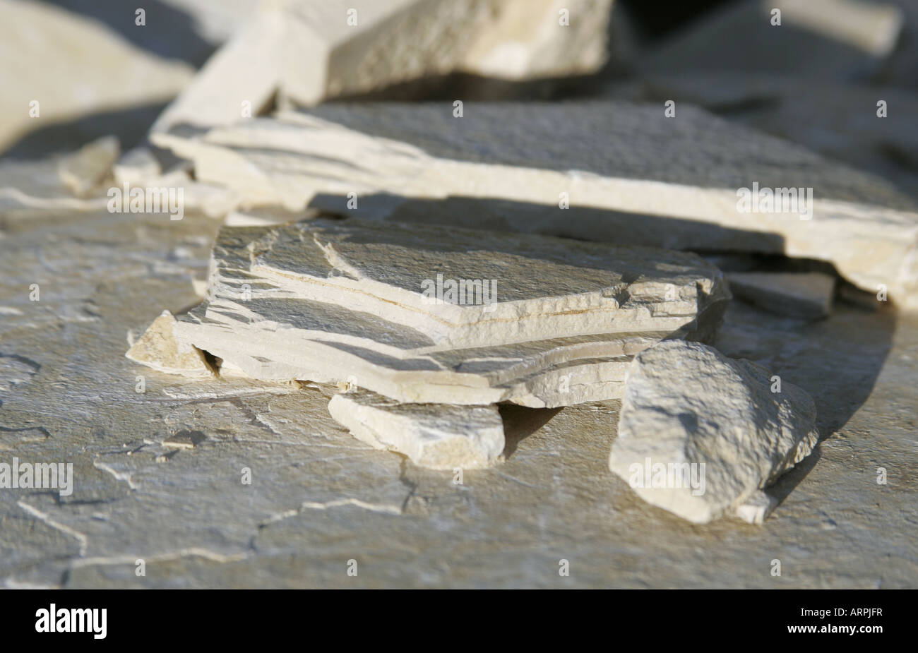 Fossil limestone quarry in Bavaria,Germany Stock Photo Alamy