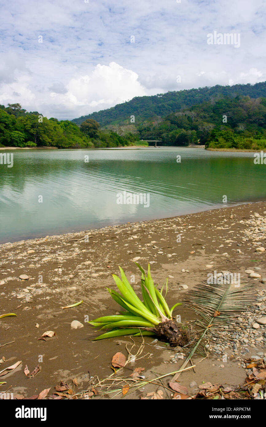 Baru River at Dominical Costa Rica Central America Stock Photo