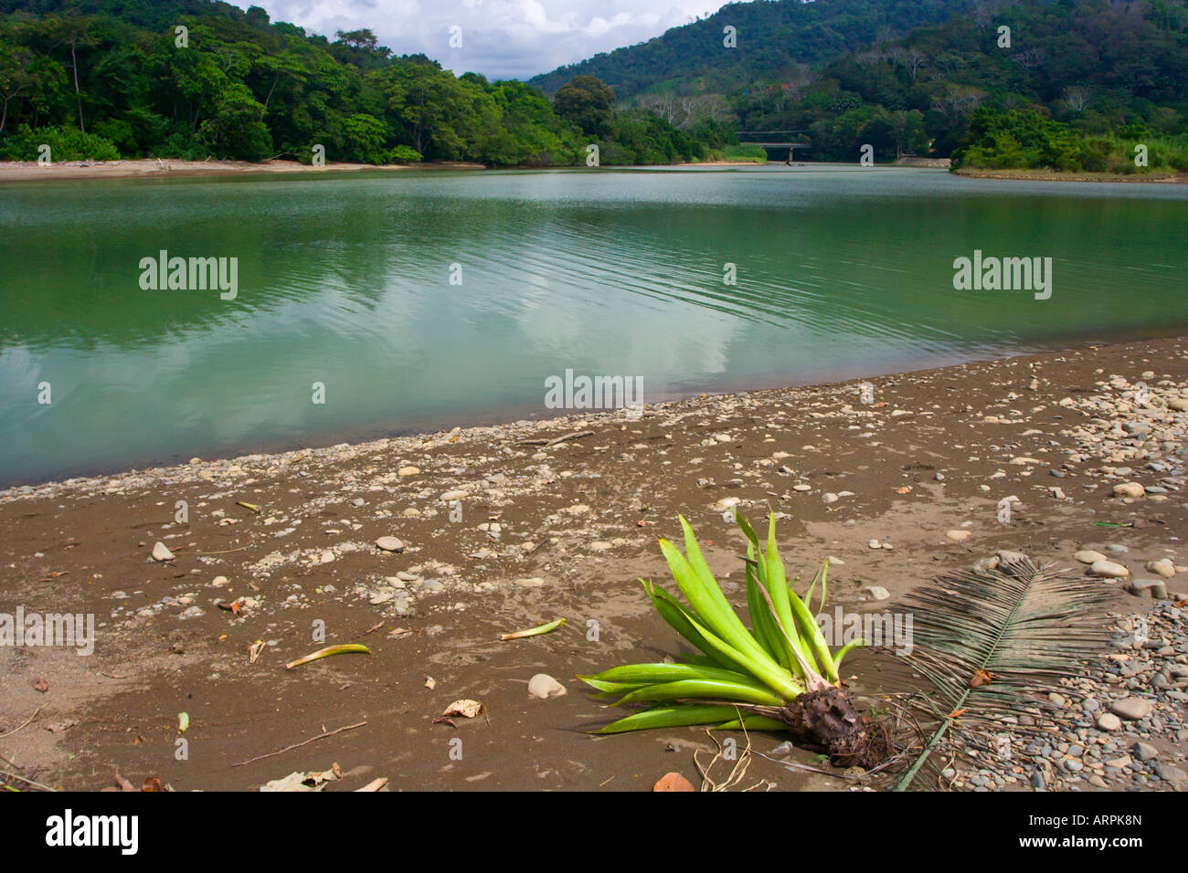 Baru River at Dominical Costa Rica Central America Stock Photo