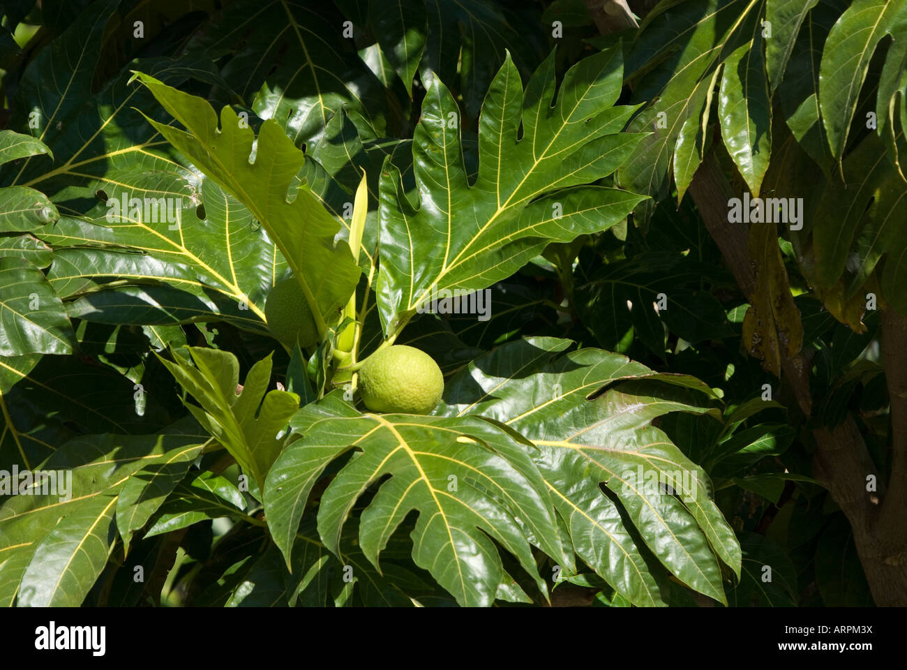 Georgetown, Grand Cayman Stock Photo - Alamy
