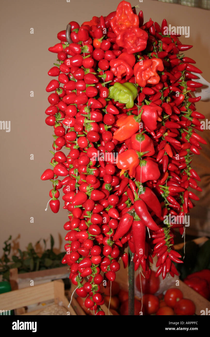 One red and many green peppers hi-res stock photography and images - Alamy
