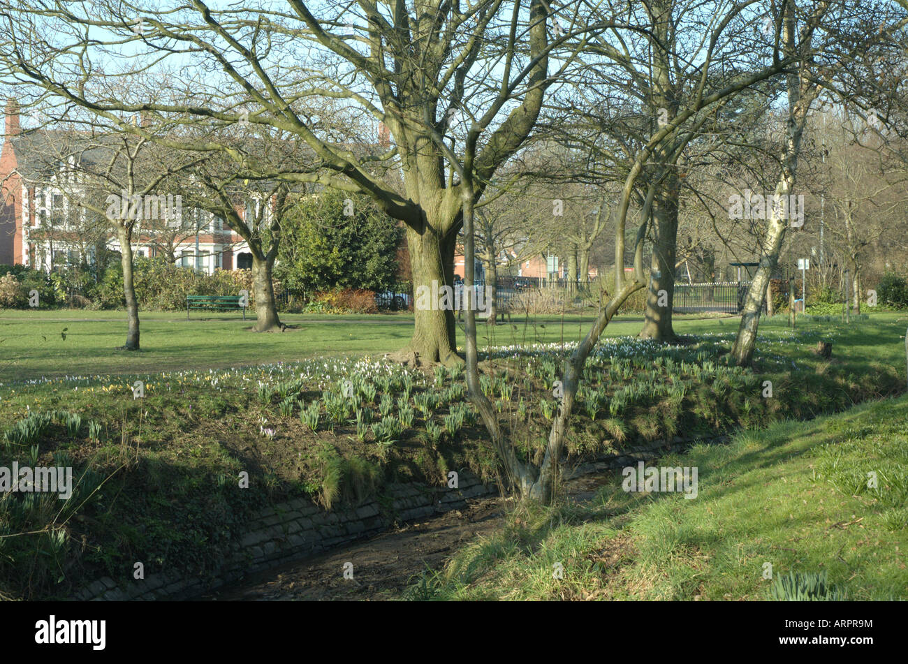 Roath Brook at Waterloo Gardens, Cardiff Stock Photo Alamy