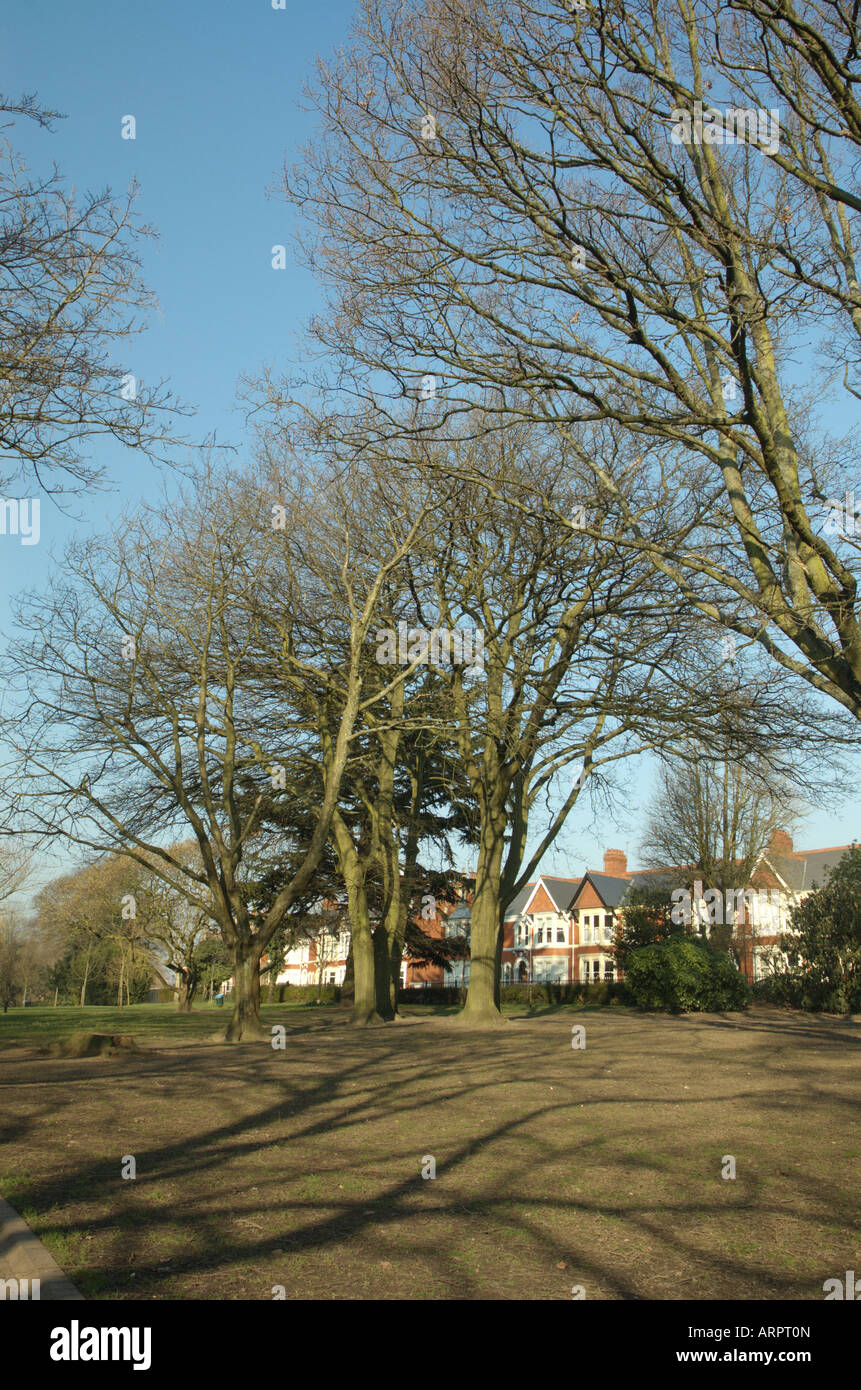 Winter trees at Waterloo Gardens, Cardiff Stock Photo Alamy
