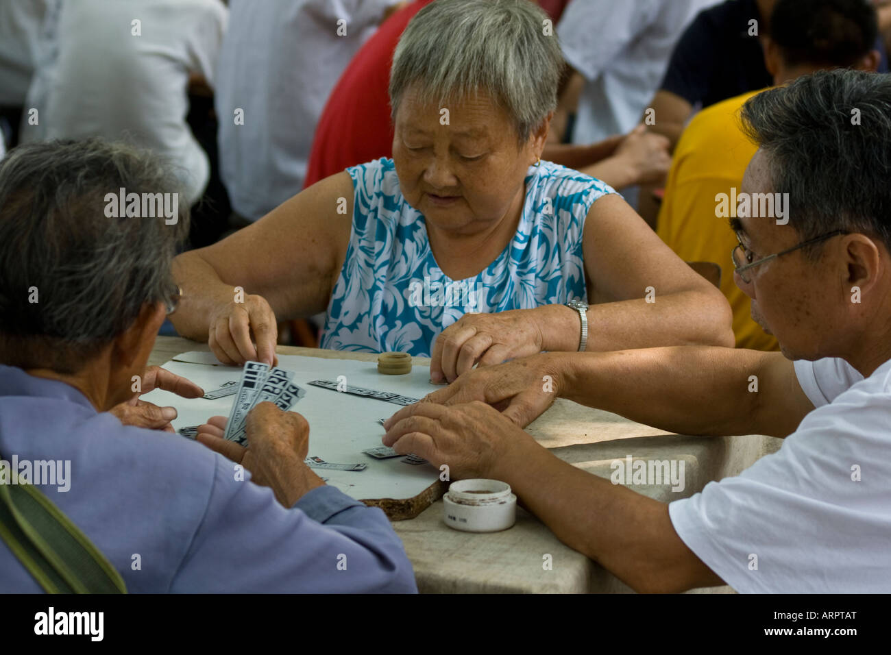 Elderly Chinese People Playing Card Games in the Park Jiujang Jiangxi