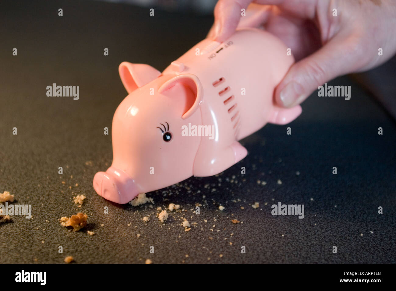 Table top Pink Crumb vacuum cleaner in the shape of pig Stock Photo Alamy