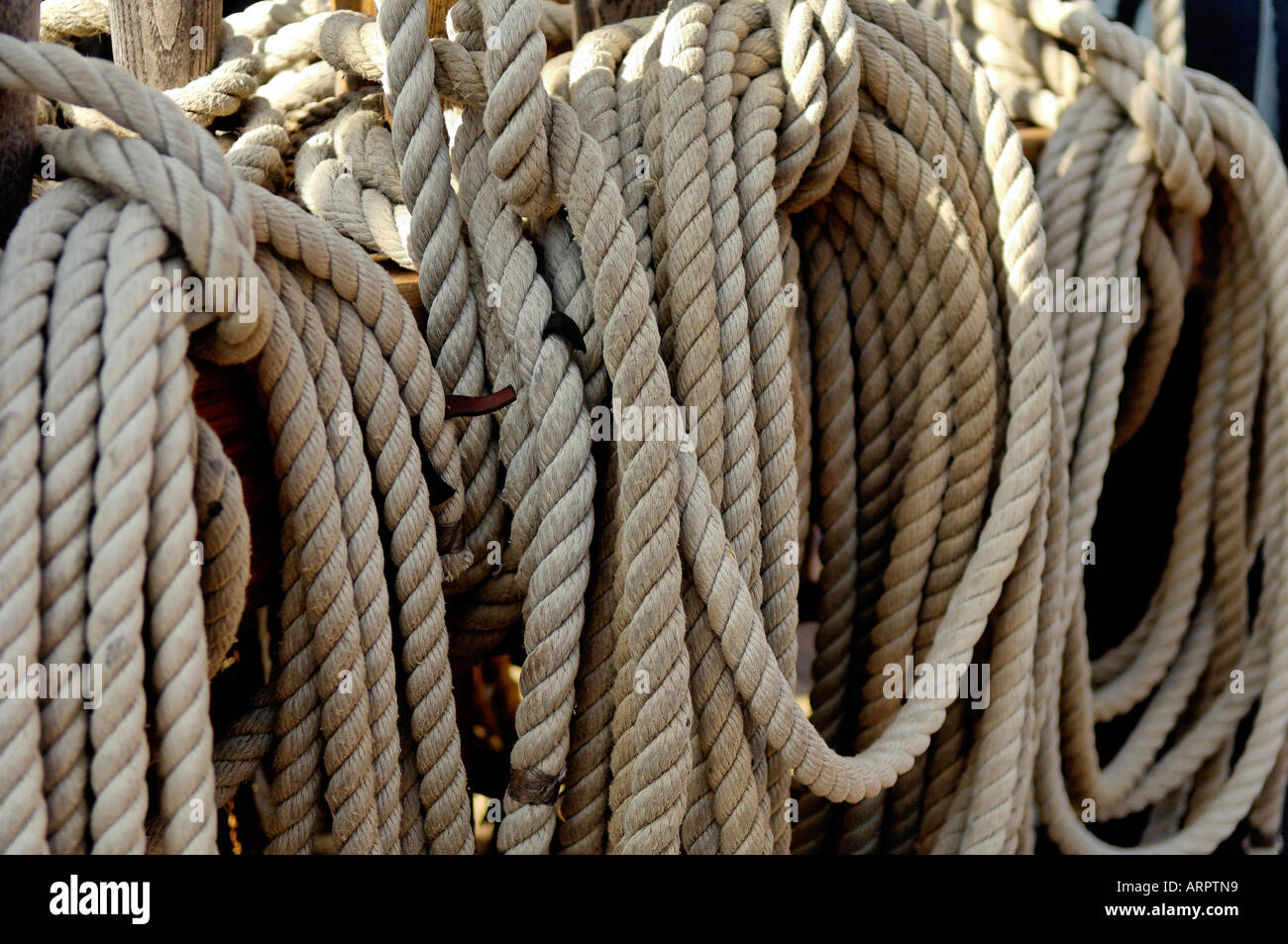 Ropes Used as Sailing Equipment Neatly Tied and Photographed in