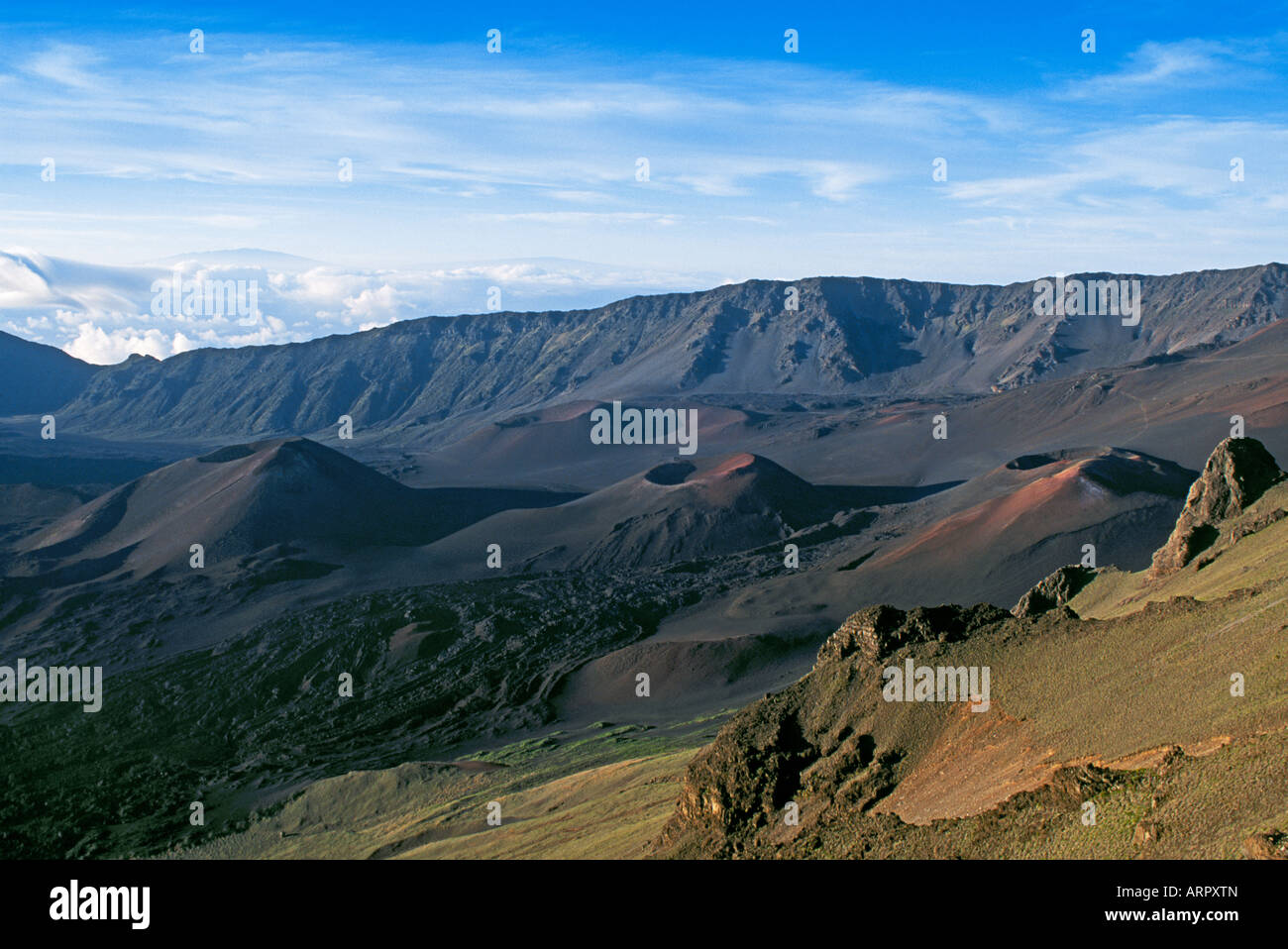 Volcanic cinder cones in Haleakala Crater Haleakala National Park Maui Hawaii Stock Photo Alamy