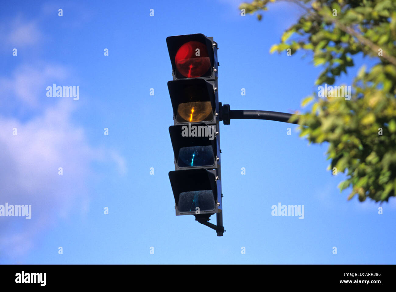 City traffic lights in north america Stock Photo Alamy