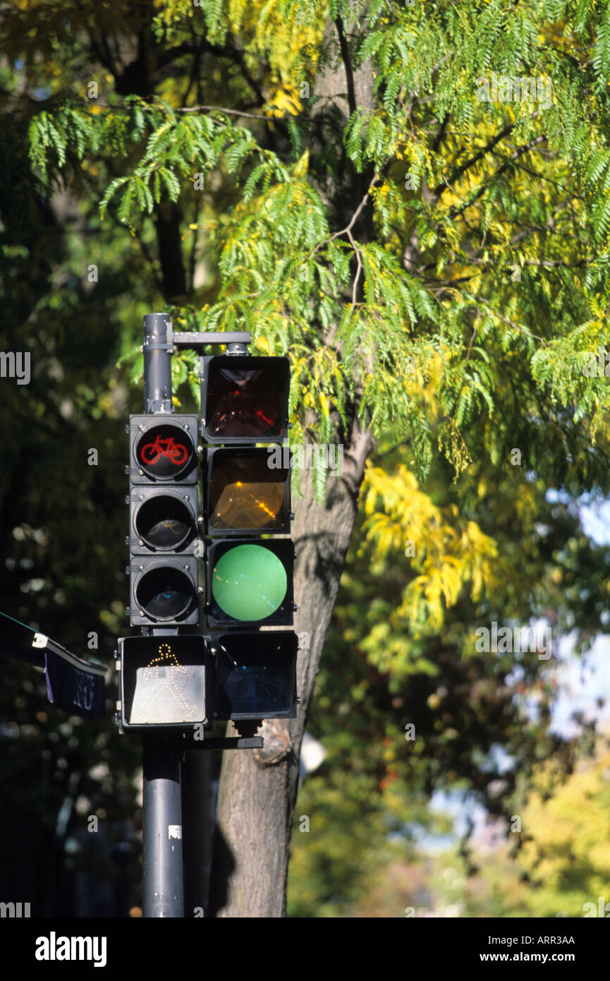 City traffic lights in north america Stock Photo Alamy