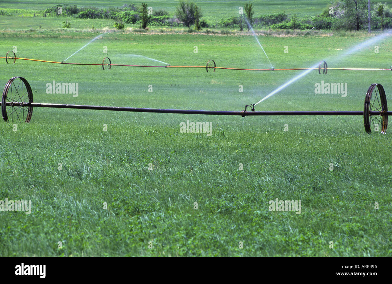 Irrigation South Okanagan Similkameen British Columbia Canada Stock