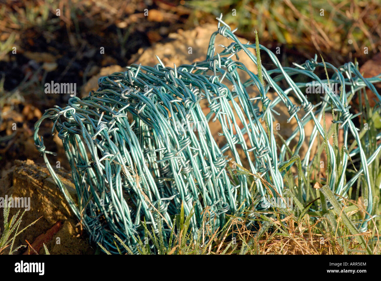 a roll of barbed wire laying on the ground ready to be used for protective fencing Stock Photo