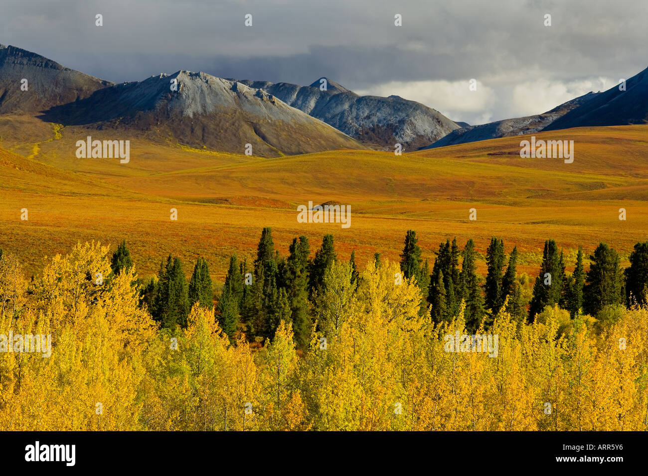autumn, Ogilvie Mountains, Yukon Territory, Canada Stock Photo Alamy