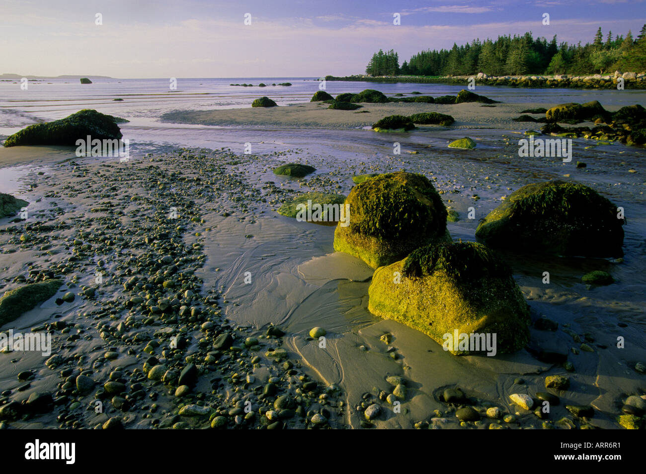 Tom Raddall Thomas Raddall Provincial Park, Nova Scotia, Canada Stock Photo - Alamy