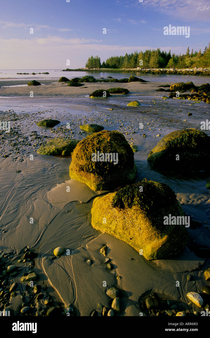 Tom Raddall Thomas raddall provincial park hi-res stock photography and images - Alamy