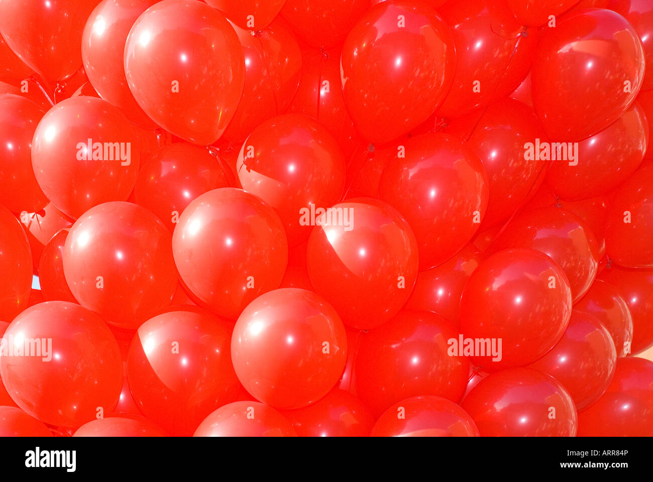 Close up of helium filled red balloons for sale Stock Photo Alamy