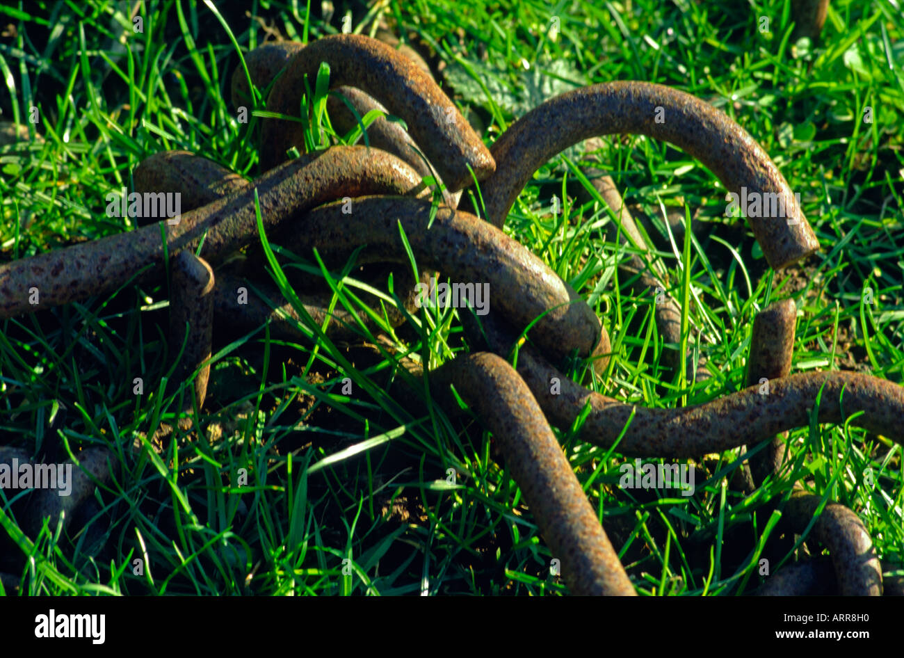 Iron bars and loops of a chain harrow in new grass field County