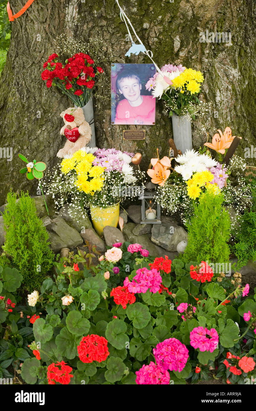 a roadside memorial to a car crash victim, windermere, Cumbria, UK Stock Photo Alamy