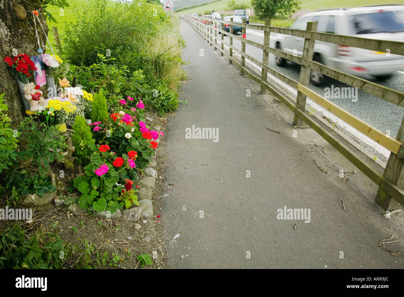 a memorial next to the A591 road near windermere in memeory of a young man killed in a car crash